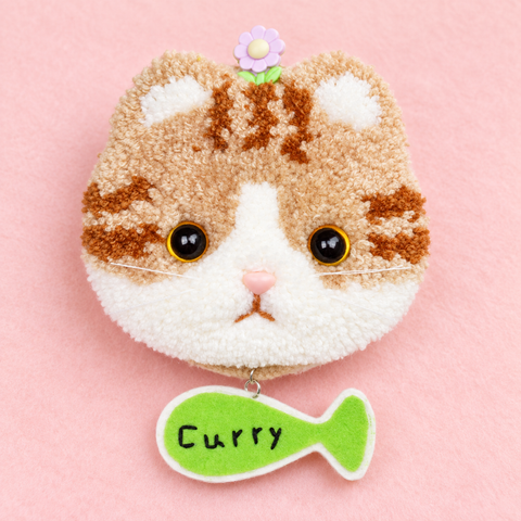Curry Ginger Cat