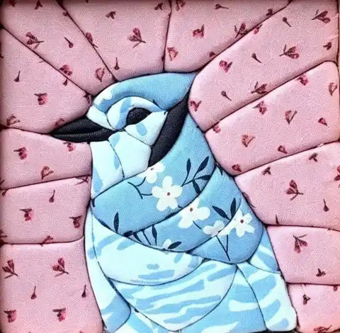 Blue Jay – Blossom